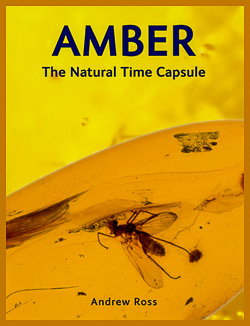 Life in Amber 1