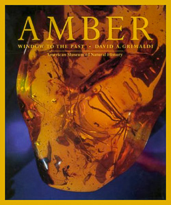 Amber Window to the Past