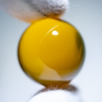 bap1194_bead_26_5mm_-_10_4g