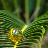 bap1195_bead_24_0mm_-_7_4g