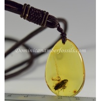 bap675_amber_fossil_pendant_othoptera-4