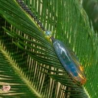 blue_and_green_flame_pendant