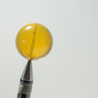 clear_dominican_amber_sphere