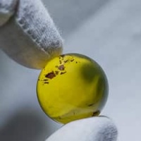 clear_marble_with_light_inclusions