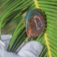 half_polished_bluish_green_pendant