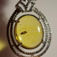 hymenoptera_fossil_amber_on_silver_frame