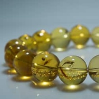 stretching_bracelet_with_fossil_beads