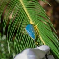 ultra_bright_sky_blue_amber_pendant