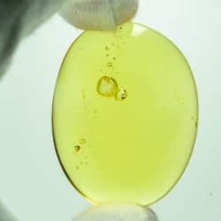 water_drop_fossil_on_dominican_amber