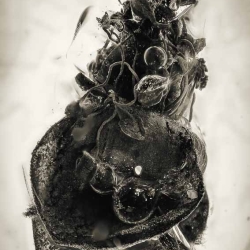 AF01 238 Flower Fossil In Dominican Amber