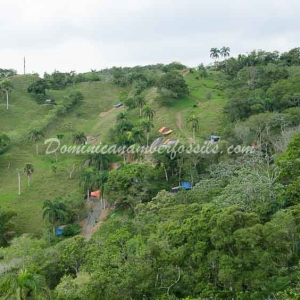Amber Mines Dominican Republic 16