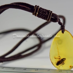 Arthropoda Pendant Dominican Amber 3