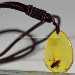 Arthropoda Pendant Dominican Amber 4