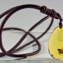 Arthropoda Pendant Dominican Amber 7