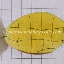 BAP1034 Dominican Amber Pendant 2