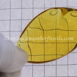 BAP1034 Dominican Amber Pendant