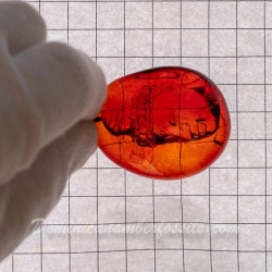 BAP1183 Red Burmese Amber Carving