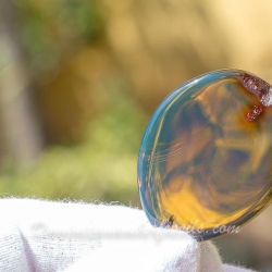 BAP1185 Ocean Blue Amber Pendant 12
