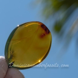 BAP1185 Ocean Blue Amber Pendant 5
