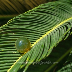 BAP1190 Bead Green 29.3mm 10