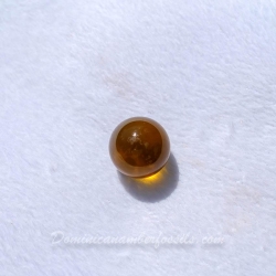 BAP1195 Bead 24.0mm   7.4g 6
