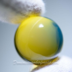 BAP1196 Bead 23.2mm 6.9g 11