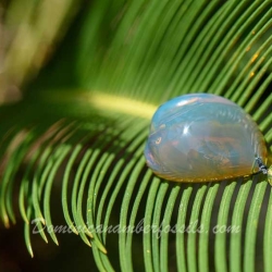BAP1208 Blue  Green Amber Pendant 8