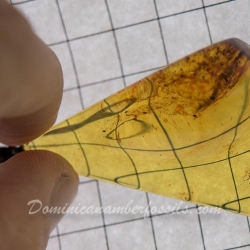 BAP826 Blue Amber Pendant 12