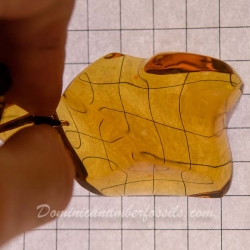 BAP898 Gold Green Massive Amber Pendant