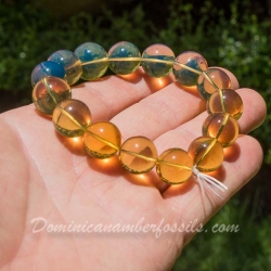 BAP970 Dominican Amber Bracelet Blue And Green 10