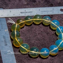 BAP970 Dominican Amber Bracelet Blue And Green 4