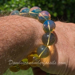 BAP970 Dominican Amber Bracelet Blue And Green 9