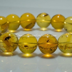 Beaded Stretching Bracelet With Insects Fossils 4