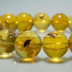 Beaded Stretching Bracelet With Insects Fossils 9