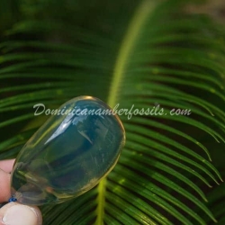Bicolor Dominican Amber Pendant 4
