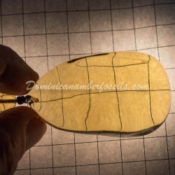 Bicolor Dominican Amber Pendant