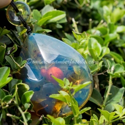 Blue Amber Pendant Authentic Dominican Amber 2