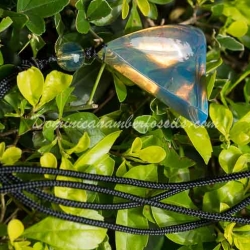 Blue Vivid Dominican Amber Pendant 3