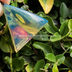Blue Vivid Dominican Amber Pendant 4
