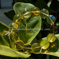 Blue And Green Amber Bracelet 2