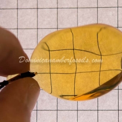 Bluis Green Amber Pendant 2