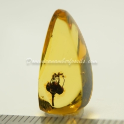 Cativo Flower Dominican Amber Fossil Inclusion 3