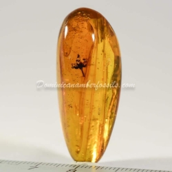 Cativo Flower Inclusion Fossil On Dominican Amber 4