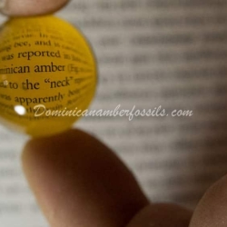 Clear Authentic Dominican Amber Sphere 2