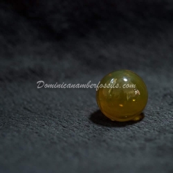 Clear Authentic Dominican Amber Sphere 5
