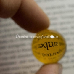 Clear Authentic Dominican Amber Sphere
