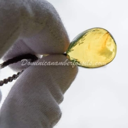 Clear Dominican Amber Necklace 3
