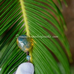 Clear Dominican Amber Necklace 4
