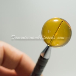 Clear Dominican Amber Sphere 7