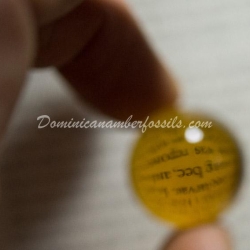 Clear Large Dominican Amber Sphere 2
